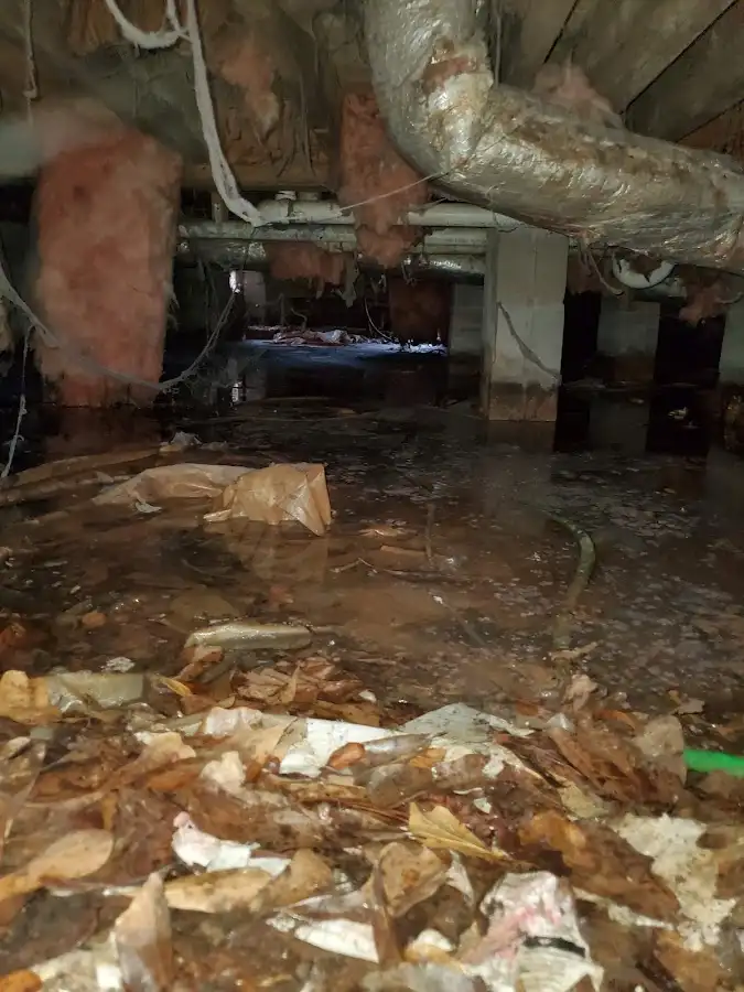 Crawl space flood assessment for Commercial Water Damage Restoration in Flat Rock