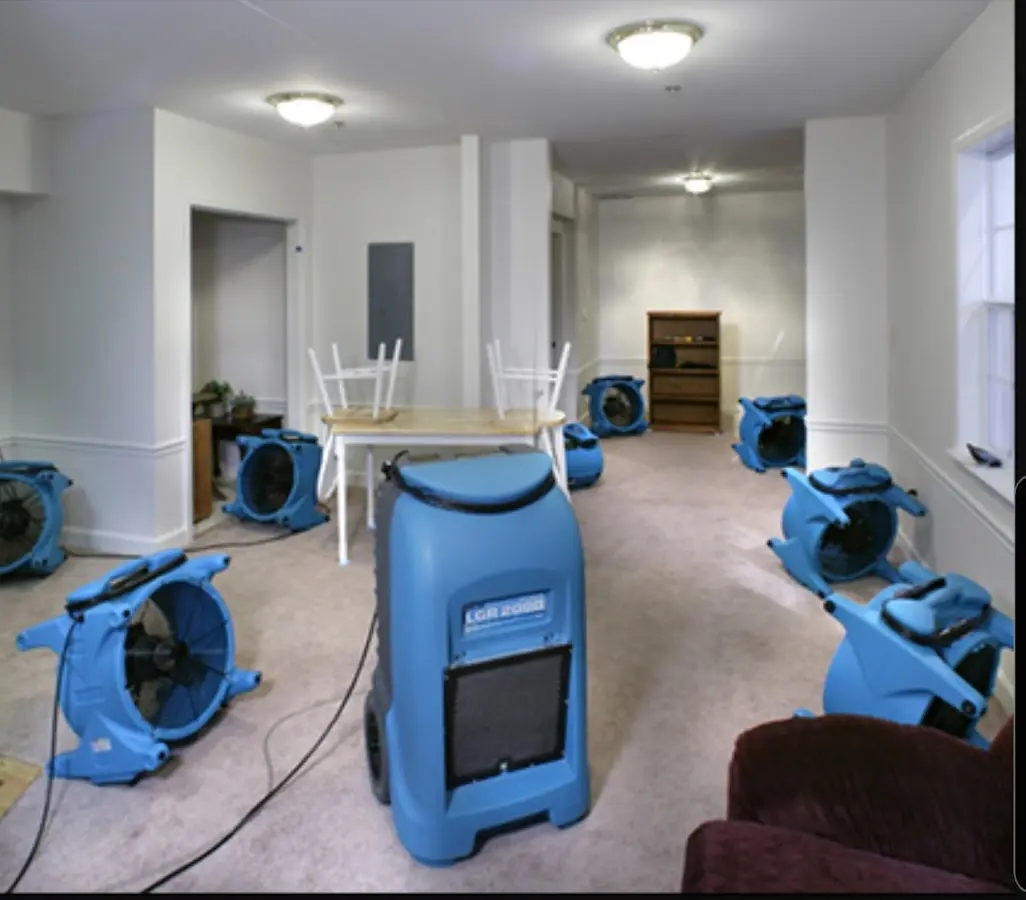 Air movers and dehumidifier setup for Water Extraction & Removal in Flat Rock