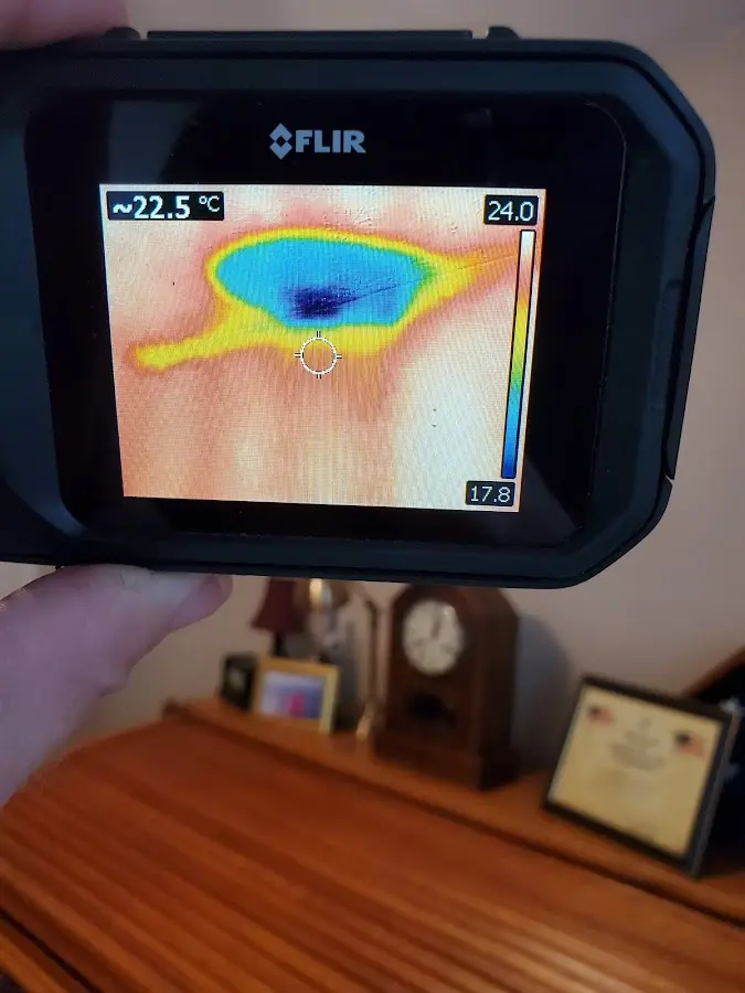 Thermal imaging inspection for water damage in Flat Rock