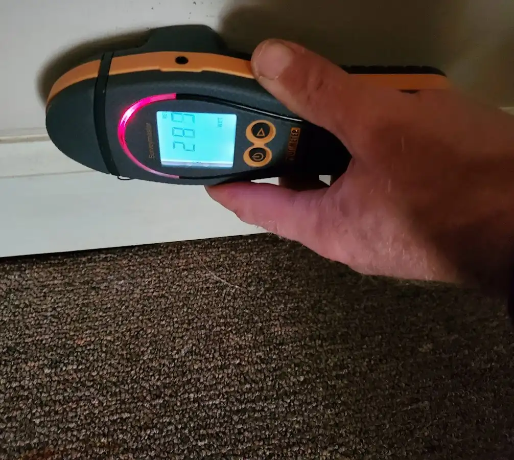 Moisture detection at baseboard during Sewage Cleanup & Sanitation in Flat Rock